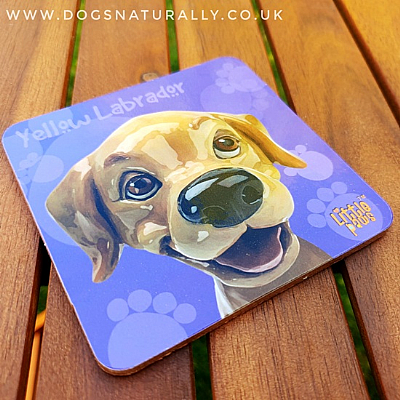 Labrador (Yellow) Fun Gift Coaster